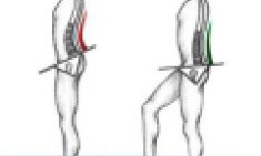 O&sigma;&phi;&upsilon;&alpha;&lambda;&gamma;ί&alpha;: T&iota; &kappa;ά&nu;&omega; ό&tau;&alpha;&nu; &pi;&omicron;&nu;ά&epsilon;&iota; &eta; &mu;έ&sigma;&eta;?