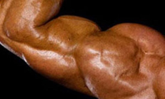 Η Βήτα-αλανίνη βελτιώνει την απόδοση των μυών