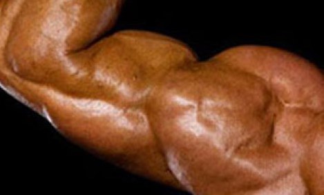 &Eta; &Beta;ή&tau;&alpha;-&alpha;&lambda;&alpha;&nu;ί&nu;&eta; &beta;&epsilon;&lambda;&tau;&iota;ώ&nu;&epsilon;&iota; &tau;&eta;&nu; &alpha;&pi;ό&delta;&omicron;&sigma;&eta; &tau;&omega;&nu; &mu;&upsilon;ώ&nu;