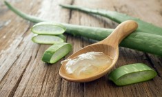 &Tau;&alpha; 24 &epsilon;&kappa;&pi;&lambda;&eta;&kappa;&tau;&iota;&kappa;ά &omicron;&phi;έ&lambda;&eta; &tau;&eta;&sigmaf; Aloe Vera