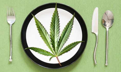 Γιατί η δίαιτα Paleo λατρεύει το CBD;