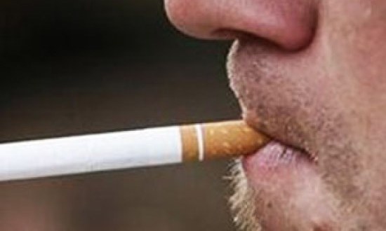Kά&pi;&nu;&iota;&sigma;&mu;&alpha; &kappa;&alpha;&iota; &mu;&upsilon;ϊ&kappa;ή &alpha;&nu;ά&pi;&tau;&upsilon;&xi;&eta;