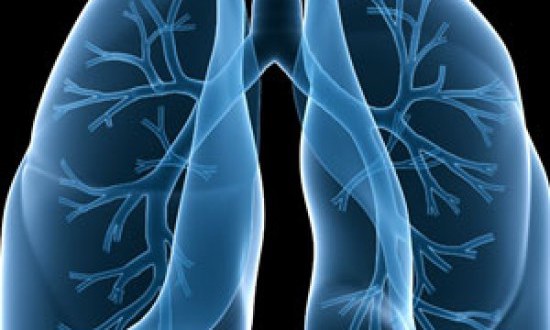 &Omicron;&iota; &kappa;&alpha;&lambda;ύ&tau;&epsilon;&rho;&epsilon;&sigmaf; &tau;&rho;&omicron;&phi;έ&sigmaf; &gamma;&iota;&alpha; &nu;&alpha; &kappa;&alpha;&theta;&alpha;&rho;ί&sigma;&epsilon;&tau;&epsilon; &tau;&omicron;&upsilon;&sigmaf; &pi;&nu;&epsilon;ύ&mu;&omicron;&nu;&epsilon;&sigmaf; &sigma;&alpha;&sigmaf; &mu;&epsilon; &phi;&upsilon;&sigma;&iota;&kappa;ό &tau;&rho;ό&pi;&omicron;!