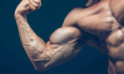 &Mu;&iota;&alpha; &tau;&rho;&iota;ά&delta;&alpha; &alpha;&sigma;&kappa;ή&sigma;&epsilon;&omega;&nu; &gamma;&iota;&alpha; ό&sigma;&omicron;&upsilon;&sigmaf; &sigma;έ&beta;&omicron;&nu;&tau;&alpha;&iota; &tau;&omicron;&upsilon;&sigmaf; &delta;&iota;&kappa;&epsilon;&phi;ά&lambda;&omicron;&upsilon;&sigmaf; &tau;&omicron;&upsilon;&sigmaf;