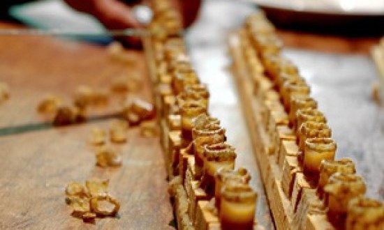 &Pi;&omicron;&iota;&omicron;&iota; &pi;&rho;έ&pi;&epsilon;&iota; &nu;&alpha; &tau;&rho;ώ&nu;&epsilon; &beta;&alpha;&sigma;&iota;&lambda;&iota;&kappa;ό &pi;&omicron;&lambda;&tau;ό;