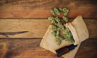 H &kappa;ά&nu;&nu;&alpha;&beta;&eta; &omega;&sigmaf; &phi;ά&rho;&mu;&alpha;&kappa;&omicron; &tau;&omicron;&upsilon; &chi;&rho;ό&nu;&iota;&omicron;&upsilon; &pi;ό&nu;&omicron;&upsilon;