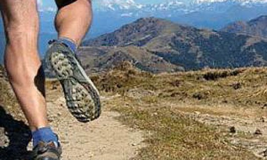 &Eta; &pi;&rho;&omicron;&pi;ό&nu;&eta;&sigma;&eta; &mu;&epsilon; &beta;ά&rho;&eta; &sigma;&epsilon; &upsilon;&psi;ό&mu;&epsilon;&tau;&rho;&omicron; &alpha;&upsilon;&xi;ά&nu;&epsilon;&iota; &tau;&eta;&nu; &alpha;&upsilon;&xi;&eta;&tau;&iota;&kappa;ή &omicron;&rho;&mu;ό&nu;&eta;