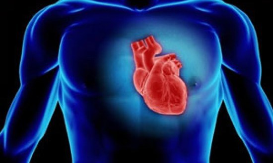 Πώς θα καθαρίσετε τις αρτηρίες σας μετά από ένα λιπαρό γεύμα και θα θωρακίσετε την καρδιά σας