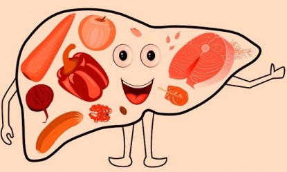 9 &tau;&rho;&omicron;&phi;έ&sigmaf; &pi;&omicron;&upsilon; &kappa;&alpha;&theta;&alpha;&rho;ί&zeta;&omicron;&upsilon;&nu; &phi;&upsilon;&sigma;&iota;&kappa;ά &tau;&omicron; &sigma;&upsilon;&kappa;ώ&tau;&iota;