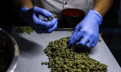 &Pi;ώ&sigmaf; &eta; &kappa;&alpha;&lambda;&lambda;&iota;έ&rho;&gamma;&epsilon;&iota;&alpha; &iota;&alpha;&tau;&rho;&iota;&kappa;ή&sigmaf; &kappa;ά&nu;&nu;&alpha;&beta;&eta;&sigmaf; &theta;&alpha; &mu;&epsilon;&iota;ώ&sigma;&epsilon;&iota; &tau;&eta;&nu; &alpha;&nu;&epsilon;&rho;&gamma;ί&alpha; &sigma;&tau;&eta;&nu; &Epsilon;&lambda;&lambda;ά&delta;&alpha;