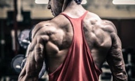 &Phi;&tau;&iota;ά&xi;&tau;&epsilon; &mu;&iota;&alpha; &pi;&alpha;&nu;ί&sigma;&chi;&upsilon;&rho;&eta; &pi;&lambda;ά&tau;&eta;!