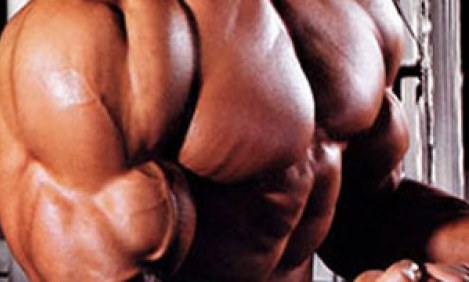 &Mu;&eta;&lambda;&iota;&kappa;ή &kappa;&iota;&tau;&rho;&omicron;&upsilon;&lambda;ί&nu;&eta;: &Omicron; &mu;&alpha;&chi;&eta;&tau;ή&sigmaf; &tau;&eta;&sigmaf; &kappa;ό&pi;&omega;&sigma;&eta;&sigmaf;!