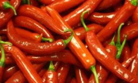 &Omicron;&iota; &pi;&iota;&omicron;&hellip; ά&nu;&tau;&rho;&epsilon;&sigmaf; &tau;&rho;ώ&nu;&epsilon; &kappa;&alpha;&upsilon;&tau;&epsilon;&rho;ά &phi;&alpha;&gamma;&eta;&tau;ά!