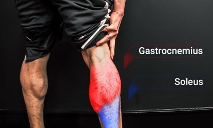 5 &sigma;&upsilon;&mu;&beta;&omicron;&upsilon;&lambda;έ&sigmaf; &gamma;&iota;&alpha; &nu;&alpha; &mu;&epsilon;&gamma;&alpha;&lambda;ώ&sigma;&omicron;&upsilon;&nu; &omicron;&iota; &laquo;&pi;&epsilon;&iota;&sigma;&mu;&alpha;&tau;ά&rho;&epsilon;&sigmaf;&raquo; &gamma;ά&mu;&pi;&epsilon;&sigmaf;