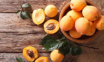 &Beta;&epsilon;&rho;ί&kappa;&omicron;&kappa;&omicron;: E&nu;&alpha; &phi;&rho;&omicron;ύ&tau;&omicron; &mu;&epsilon; &pi;&lambda;&omicron;ύ&sigma;&iota;&alpha; &theta;&rho;&epsilon;&pi;&tau;&iota;&kappa;ή &alpha;&xi;ί&alpha;