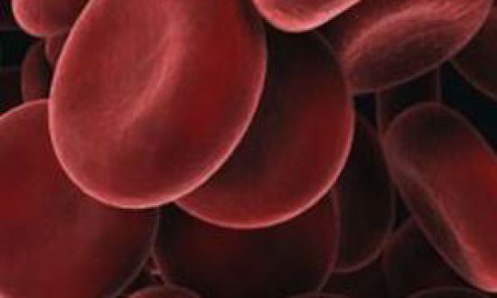 Δίαιτες με βάση την ομάδα αίματος