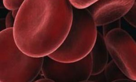 &Delta;ί&alpha;&iota;&tau;&epsilon;&sigmaf; &mu;&epsilon; &beta;ά&sigma;&eta; &tau;&eta;&nu; &omicron;&mu;ά&delta;&alpha; &alpha;ί&mu;&alpha;&tau;&omicron;&sigmaf;