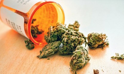 &Alpha;&nu;&theta;&omicron;ί &kappa;ά&nu;&nu;&alpha;&beta;&eta;&sigmaf;: Ό&lambda;&alpha; ό&sigma;&alpha; &pi;&rho;έ&pi;&epsilon;&iota; &nu;&alpha; &gamma;&nu;&omega;&rho;ί&zeta;&epsilon;&iota;&sigmaf;