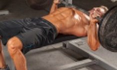 &Tau;&alpha; &mu;&upsilon;&sigma;&tau;&iota;&kappa;ά &tau;&omicron;&upsilon; &pi;ά&gamma;&kappa;&omicron;&upsilon;