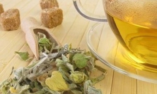 &Tau;&alpha; &upsilon;&gamma;&iota;&epsilon;&iota;&nu;ά &rho;&omicron;&phi;ή&mu;&alpha;&tau;&alpha; &tau;&omicron;&upsilon; &chi;&epsilon;&iota;&mu;ώ&nu;&alpha; &kappa;&alpha;&iota; &tau;&alpha; &omicron;&phi;έ&lambda;&eta; &tau;&omicron;&upsilon;&sigmaf;