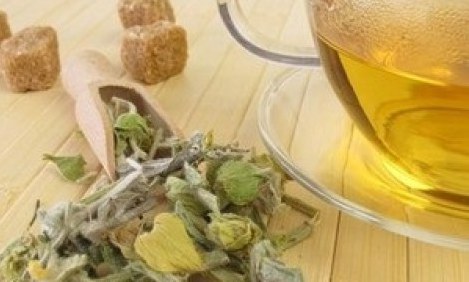 &Tau;&alpha; &upsilon;&gamma;&iota;&epsilon;&iota;&nu;ά &rho;&omicron;&phi;ή&mu;&alpha;&tau;&alpha; &tau;&omicron;&upsilon; &chi;&epsilon;&iota;&mu;ώ&nu;&alpha; &kappa;&alpha;&iota; &tau;&alpha; &omicron;&phi;έ&lambda;&eta; &tau;&omicron;&upsilon;&sigmaf;