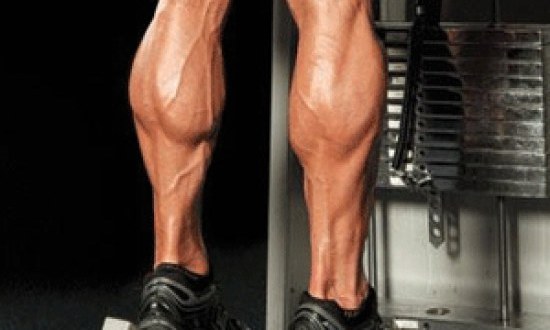 Χτίσε μεγαλύτερες γάμπες (εικόνα)