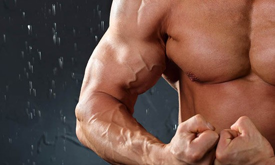 &Omicron;&Gamma;&Kappa;&Omicron;&Sigma; &Sigma;&Tau;&Alpha; &Gamma;&Rho;&Eta;&Gamma;&Omicron;&Rho;&Alpha;