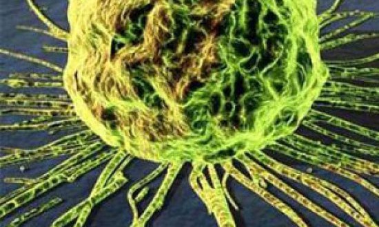 Έξαρση των αυτοάνοσων από το στρες και τις τοξικές ουσίες - SOS !!!