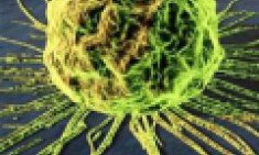 Έ&xi;&alpha;&rho;&sigma;&eta; &tau;&omega;&nu; &alpha;&upsilon;&tau;&omicron;ά&nu;&omicron;&sigma;&omega;&nu; &alpha;&pi;ό &tau;&omicron; &sigma;&tau;&rho;&epsilon;&sigmaf; &kappa;&alpha;&iota; &tau;&iota;&sigmaf; &tau;&omicron;&xi;&iota;&kappa;έ&sigmaf; &omicron;&upsilon;&sigma;ί&epsilon;&sigmaf; - SOS !!!