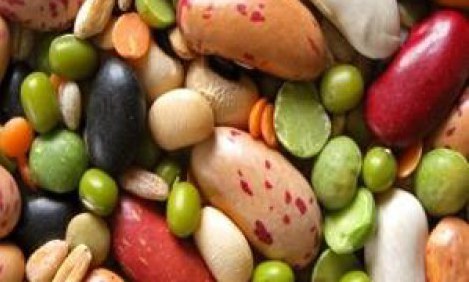  &Omicron;&iota; &delta;ί&alpha;&iota;&tau;&epsilon;&sigmaf; &tau;&omega;&nu; &nu;&epsilon;&upsilon;&rho;&omicron;&delta;&iota;&alpha;&beta;&iota;&beta;&alpha;&sigma;&tau;ώ&nu; 