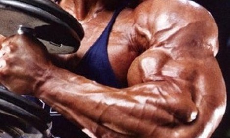 &Kappa;ά&nu;&tau;&epsilon; &sigma;&omega;&sigma;&tau;ά &kappa;ά&mu;&psi;&epsilon;&iota;&sigmaf; &sigma;&phi;&upsilon;&rho;&iota;ώ&nu;