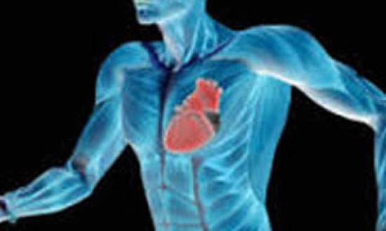 Ζώνες καρδιακής συχνότητας και ένταση της προπόνησης-τι να προσέξετε