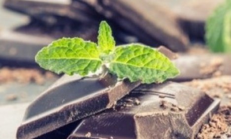 &Eta; &mu;&alpha;ύ&rho;&eta; &sigma;&omicron;&kappa;&omicron;&lambda;ά&tau;&alpha; &kappa;&rho;&alpha;&tau;ά&epsilon;&iota; &tau;&omicron; &mu;&upsilon;&alpha;&lambda;ό &sigma;&epsilon; &epsilon;&gamma;&rho;ή&gamma;&omicron;&rho;&sigma;&eta;