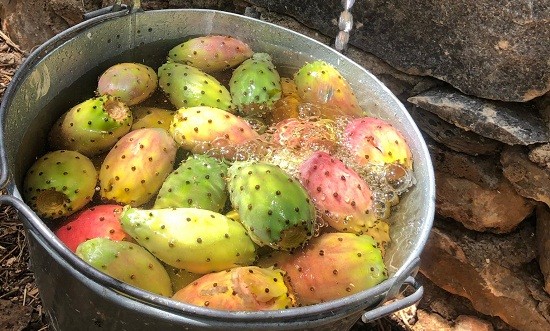 &Phi;&rho;&alpha;&gamma;&kappa;ό&sigma;&upsilon;&kappa;&alpha;: &Gamma;&iota;&alpha;&tau;ί &theta;&epsilon;&omega;&rho;&omicron;ύ&nu;&tau;&alpha;&iota; &upsilon;&pi;&epsilon;&rho;&tau;&rho;&omicron;&phi;ή &kappa;&alpha;&iota; &pi;ώ&sigmaf; &tau;&alpha; &kappa;&alpha;&theta;&alpha;&rho;ί&zeta;&omicron;&upsilon;&mu;&epsilon;