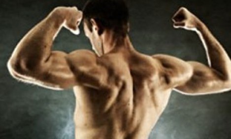 &Tau;&iota; &rho;ό&lambda;&omicron; &pi;&alpha;ί&zeta;&omicron;&upsilon;&nu; &omicron;&iota; &delta;&iota;&alpha;&phi;&omicron;&rho;&epsilon;&tau;&iota;&kappa;έ&sigmaf; &pi;&eta;&gamma;έ&sigmaf; &pi;&rho;&omega;&tau;&epsilon;ΐ&nu;&eta;&sigmaf; &sigma;&tau;&eta;&nu; &mu;&upsilon;&iota;&kappa;ή &alpha;&nu;ά&pi;&tau;&upsilon;&xi;&eta;;