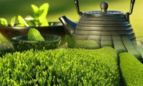 &Omicron;&iota; 6 &tau;&rho;ό&pi;&omicron;&iota; &gamma;&iota;&alpha; &nu;&alpha; &kappa;ά&nu;&epsilon;&iota;&sigmaf;&hellip; turbo &mu;&epsilon;&tau;&alpha;&beta;&omicron;&lambda;&iota;&sigma;&mu;ό!