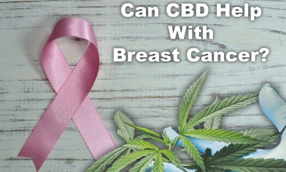 &Mu;&pi;&omicron;&rho;&epsilon;ί &tau;&omicron; CBD &nu;&alpha; &beta;&omicron;&eta;&theta;ή&sigma;&epsilon;&iota; &sigma;&tau;&eta; &mu;ά&chi;&eta; &kappa;&alpha;&tau;ά &tau;&omicron;&upsilon; &Kappa;&alpha;&rho;&kappa;ί&nu;&omicron;&upsilon; &tau;&omicron;&upsilon; &Mu;&alpha;&sigma;&tau;&omicron;ύ;