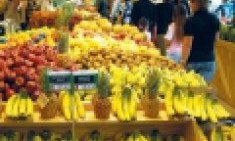 &Tau;&alpha; &phi;&rho;&omicron;ύ&tau;&alpha; &kappa;&alpha;&iota; &tau;&alpha; &lambda;&alpha;&chi;&alpha;&nu;&iota;&kappa;ά &tau;&omega;&nu; &Chi;&rho;&iota;&sigma;&tau;&omicron;&upsilon;&gamma;έ&nu;&nu;&omega;&nu;