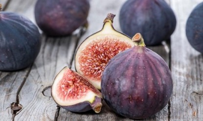 &Mu;ά&lambda;&lambda;&omicron;&nu; &delta;&epsilon;&nu; &theta;&alpha; &xi;&alpha;&nu;&alpha;&phi;ά&tau;&epsilon; &sigma;ύ&kappa;&alpha; &mu;&epsilon;&tau;ά &alpha;&pi;ό &alpha;&upsilon;&tau;ό &tau;&omicron; &beta;ί&nu;&tau;&epsilon;&omicron;!