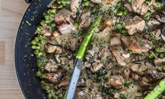 &Kappa;&omicron;&tau;ό&pi;&omicron;&upsilon;&lambda;&omicron; &mu;&epsilon; &alpha;&rho;&alpha;&kappa;ά &kappa;&alpha;&iota; &kappa;&rho;έ&mu;&alpha;