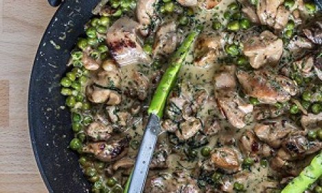 &Kappa;&omicron;&tau;ό&pi;&omicron;&upsilon;&lambda;&omicron; &mu;&epsilon; &alpha;&rho;&alpha;&kappa;ά &kappa;&alpha;&iota; &kappa;&rho;έ&mu;&alpha;