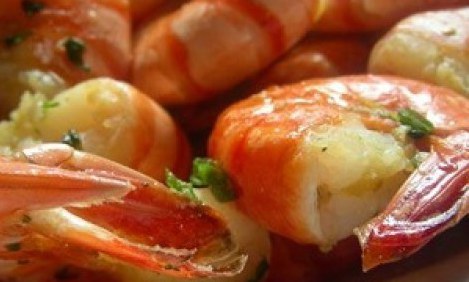 &Theta;&alpha;&lambda;&alpha;&sigma;&sigma;&iota;&nu;ά/&Omicron;&sigma;&tau;&rho;&alpha;&kappa;&omicron;&epsilon;&iota;&delta;ή &gamma;&iota;&alpha; &alpha;&pi;ώ&lambda;&epsilon;&iota;&alpha; &lambda;ί&pi;&omicron;&upsilon;&sigmaf; &kappa;&alpha;&iota; &mu;&upsilon;&iota;&kappa;ή &alpha;&nu;ά&pi;&tau;&upsilon;&xi;&eta;