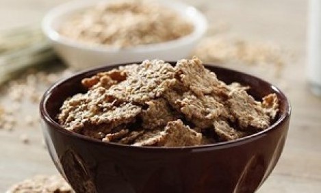 &Tau;&iota; &pi;&rho;&omicron;&kappa;&alpha;&lambda;&omicron;ύ&nu; &sigma;&tau;&omicron; &sigma;ώ&mu;&alpha; &tau;&alpha; &delta;&eta;&mu;&eta;&tau;&rho;&iota;&alpha;&kappa;ά &omicron;&lambda;&iota;&kappa;ή&sigmaf; ά&lambda;&epsilon;&sigma;&eta;&sigmaf;