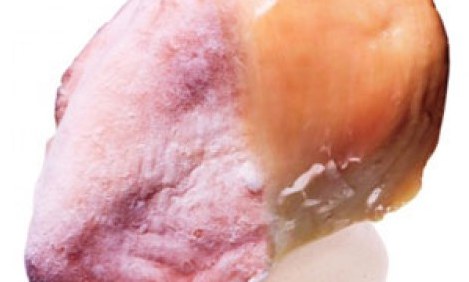 &Psi;&Eta;&Sigma;&Epsilon; &Tau;&Omicron; &Sigma;&Omega;&Sigma;&Tau;&Alpha;, &Gamma;&Iota;&Alpha; &Nu;&Alpha; &Mu;&Eta;&Nu; &Psi;&Eta;&Theta;&Epsilon;&Iota;&Sigma; &Sigma;&Tau;&Omicron;&Nu; &Pi;&Upsilon;&Rho;&Epsilon;&Tau;&Omicron;