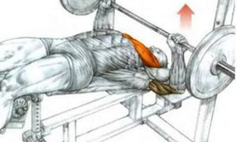 &Pi;&iota;έ&sigma;&epsilon;&iota;&sigmaf; &sigma;&tau;ή&theta;&omicron;&upsilon;&sigmaf; &sigma;&epsilon; &omicron;&rho;&iota;&zeta;ό&nu;&tau;&iota;&omicron; Vs &Pi;&iota;έ&sigma;&epsilon;&iota;&sigmaf; &sigma;&epsilon; &epsilon;&pi;&iota;&kappa;&lambda;&iota;&nu;ή &pi;ά&gamma;&kappa;&omicron; - &Pi;&lambda;&epsilon;&omicron;&nu;&epsilon;&kappa;&tau;ή&mu;&alpha;&tau;&alpha; &kappa;&alpha;&iota; &mu;&epsilon;&iota;&omicron;&nu;&epsilon;&kappa;&tau;ή&mu;&alpha;&tau;&alpha;