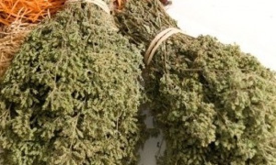 Τι σχέση έχει η ρίγανη με τον ξερόβηχα;