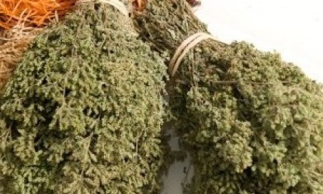 &Tau;&iota; &sigma;&chi;έ&sigma;&eta; έ&chi;&epsilon;&iota; &eta; &rho;ί&gamma;&alpha;&nu;&eta; &mu;&epsilon; &tau;&omicron;&nu; &xi;&epsilon;&rho;ό&beta;&eta;&chi;&alpha;;