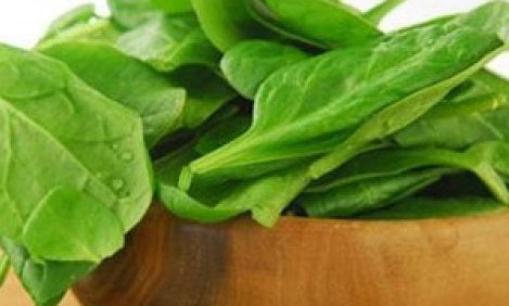 &Pi;&rho;&omega;&tau;&epsilon;ΐ&nu;&eta; &chi;&omega;&rho;ί&sigmaf; &kappa;&rho;έ&alpha;&sigmaf; ; &Omicron;&iota; 7 &kappa;&alpha;&lambda;ύ&tau;&epsilon;&rho;&epsilon;&sigmaf; &pi;&eta;&gamma;έ&sigmaf; !!!