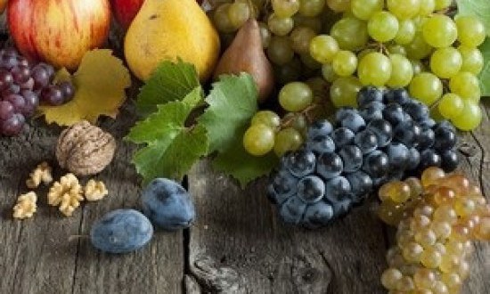 &Alpha;&upsilon;&tau;έ&sigmaf; &omicron;&iota; &tau;&rho;&omicron;&phi;έ&sigmaf; &pi;&omicron;&upsilon; &epsilon;ί&nu;&alpha;&iota; ά&phi;&theta;&omicron;&nu;&epsilon;&sigmaf; &sigma;&epsilon; &kappa;ά&lambda;&iota;&omicron;