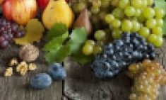 &Alpha;&upsilon;&tau;έ&sigmaf; &omicron;&iota; &tau;&rho;&omicron;&phi;έ&sigmaf; &pi;&omicron;&upsilon; &epsilon;ί&nu;&alpha;&iota; ά&phi;&theta;&omicron;&nu;&epsilon;&sigmaf; &sigma;&epsilon; &kappa;ά&lambda;&iota;&omicron;